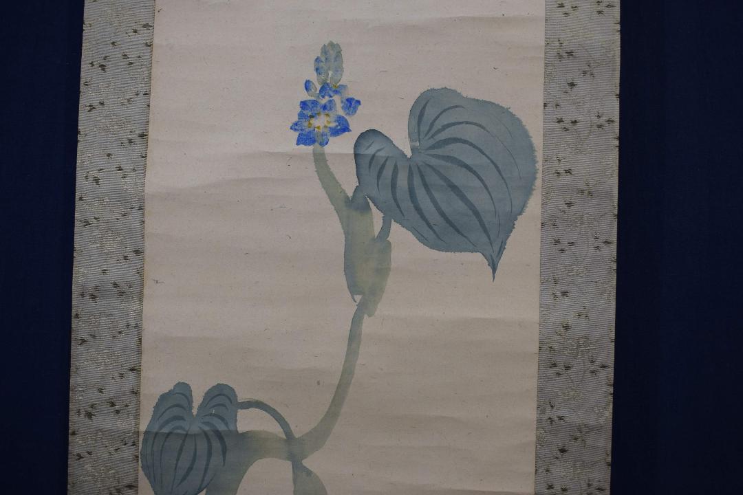 真作/西山翠嶂/葵図/アオイ図/花図/豊かな実り/掛軸☆宝船☆AH-519