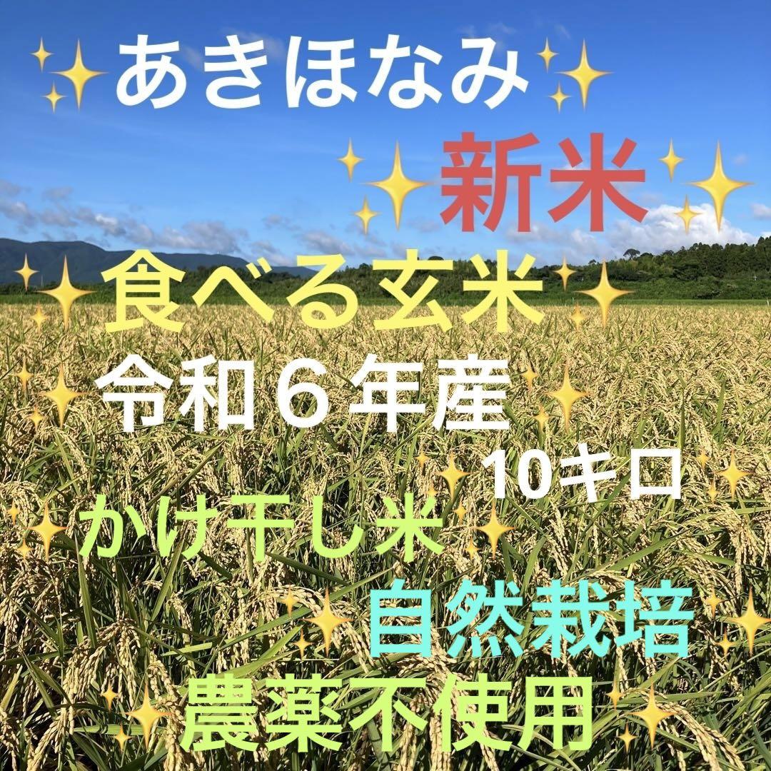 【数量限定】あきほなみ 新米『食べる玄米』10㎏