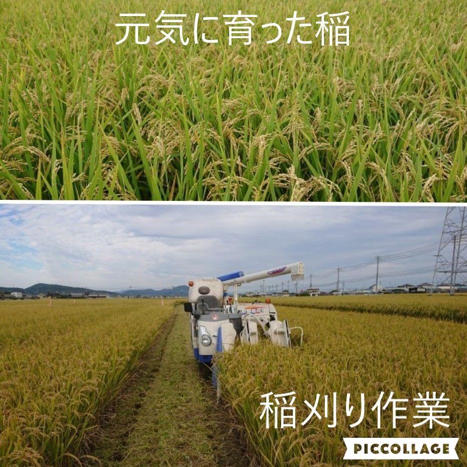 【Asads樣専用4月分】晴れの国岡山のお米☆希少朝日米20kg【令和6年産】