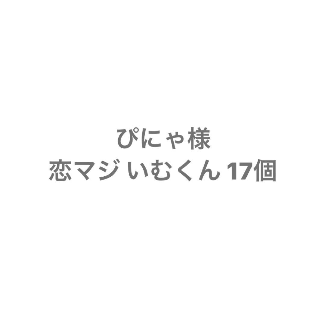 ぴにゃ様専用出品