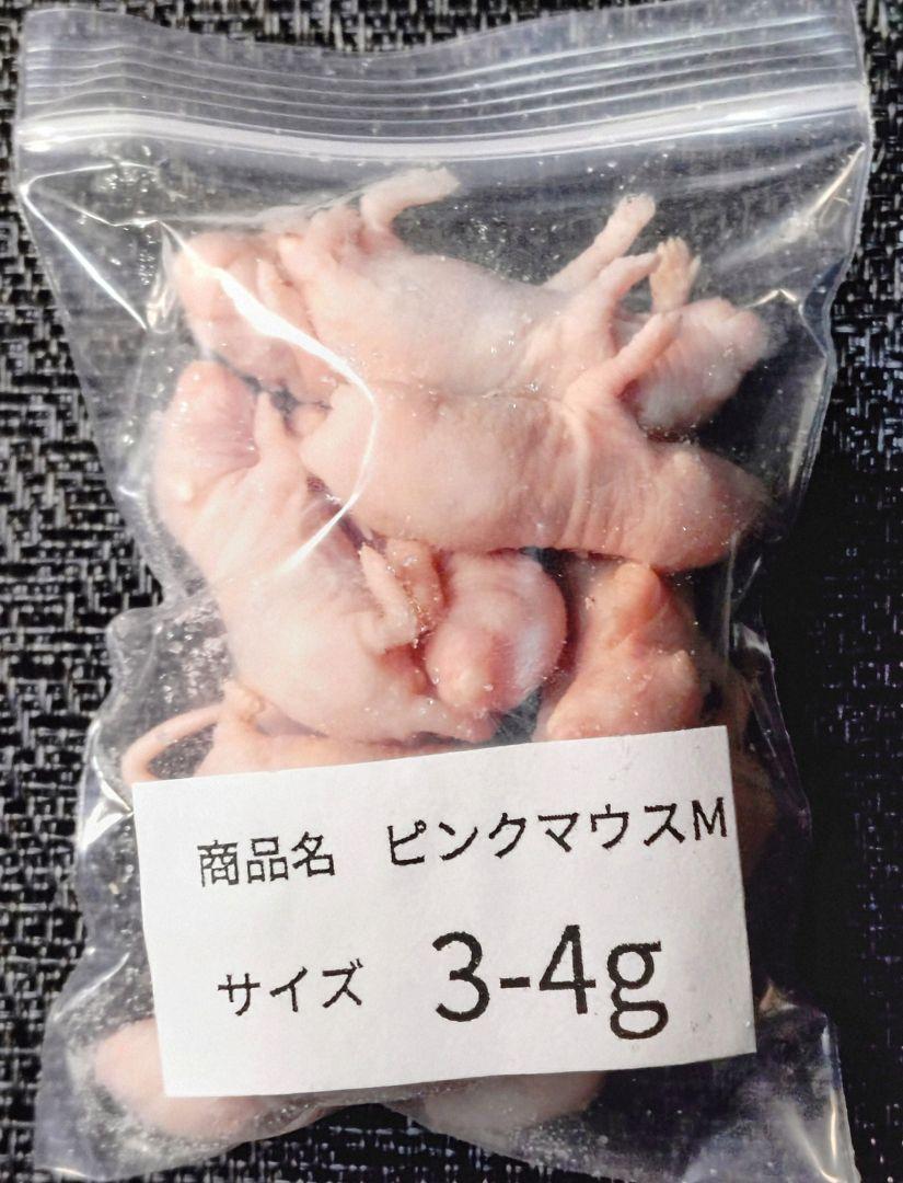 送料無料 冷凍ピンクマウスM100匹