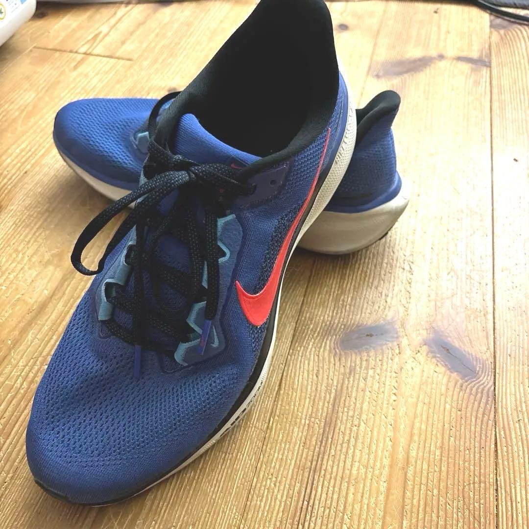 Nike ランニングシューズ ブルー28.5 ナイキ ランニングシューズ