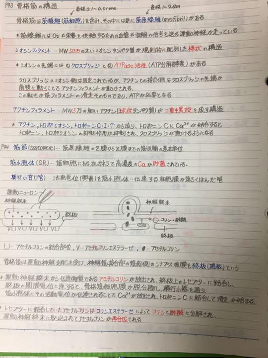 最大89%オフ! 視能訓練士 放射線技師国家試験 定期試験対策シリーズ 生理学A B まとめセット atlasprotectiongroup.com 最大89%オフ! 視能訓練士 放射線技師国家試験 定期試験対策シリーズ 生理学A B まとめセット atlasprotectiongroup.com