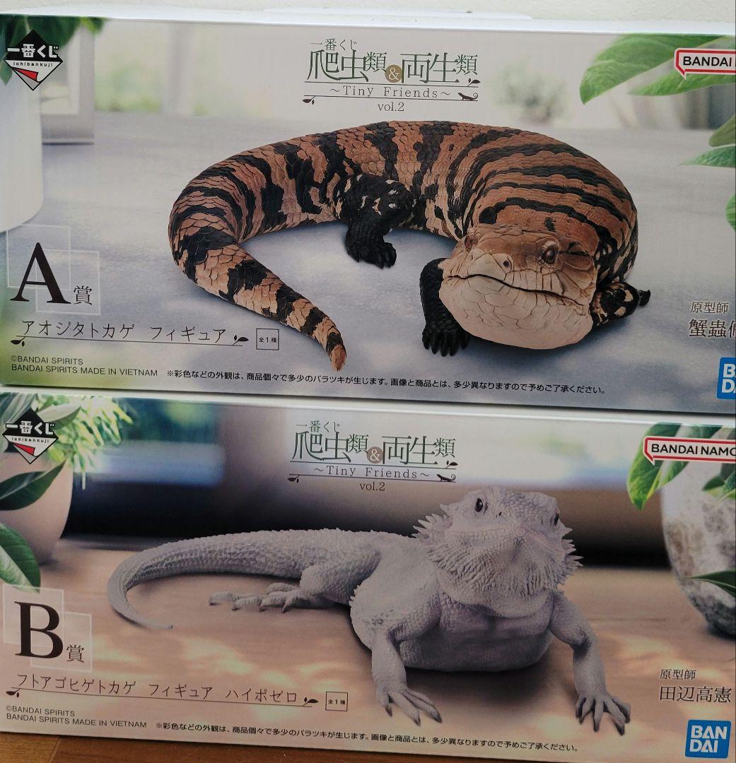 一番くじ　爬虫類&両生類　A賞B賞セット　アオジタトカゲ　フトアゴヒゲトカゲ 一番くじ 爬虫類＆両生類 A賞＋B賞セット - メルカリ