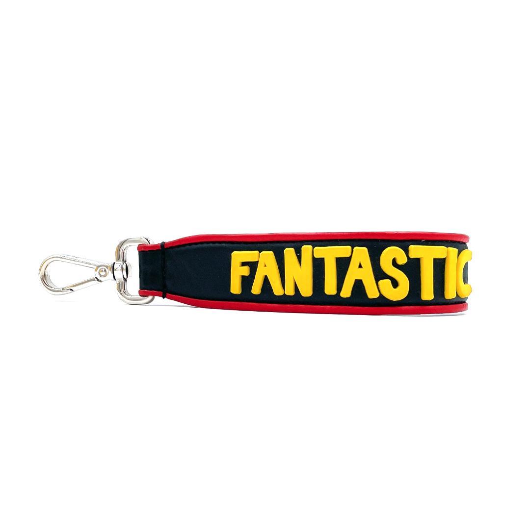 フェンディ レザー キーホルダー ファンタスティック メンズ レディース 美品 フェンディ レザー キーホルダー ファンタスティック メンズ
