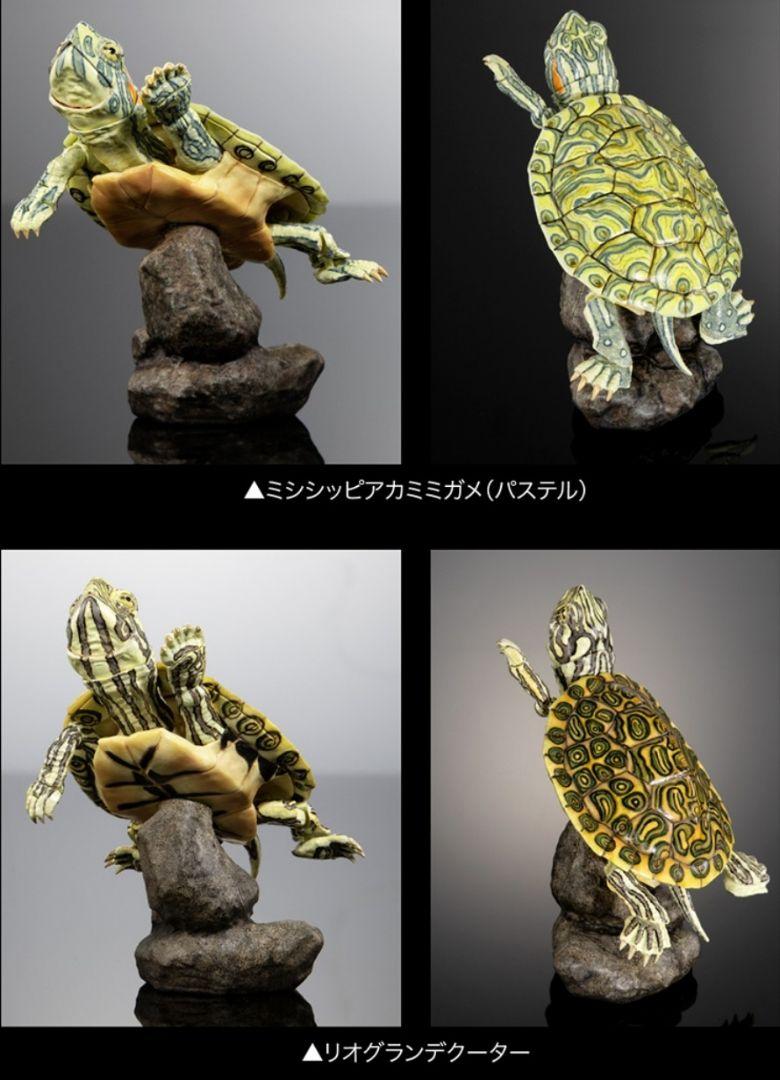 予約販売 オンライン限定 いきもの大図鑑カメ02 磁石付き石型スタンド その他