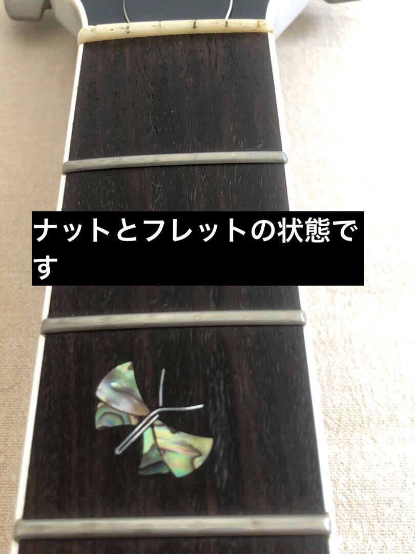 【希少】VOX Virage Ⅱ Butterfly（VG2SC）