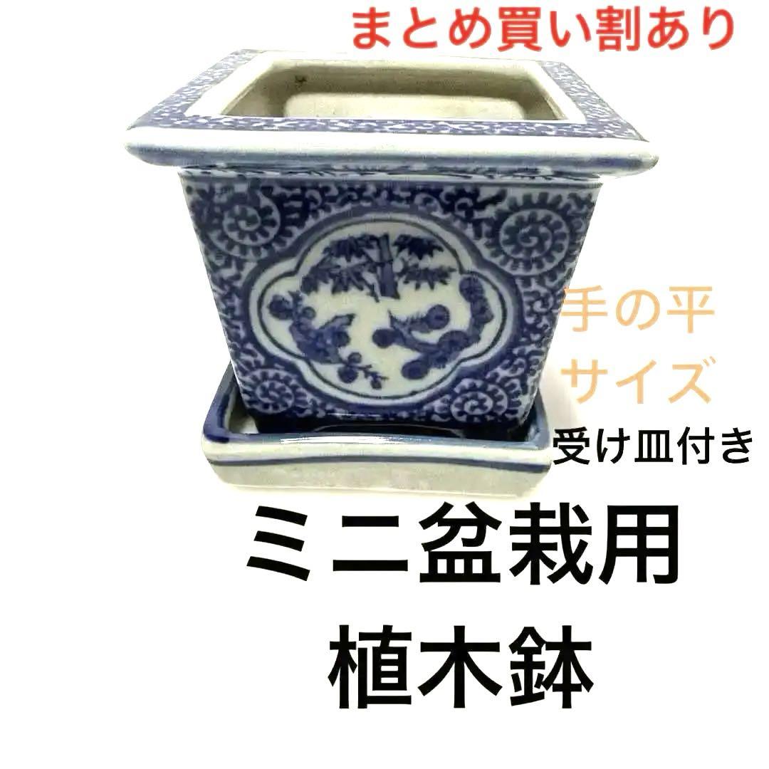 Yahoo!オークション - 尾張焼 青磁 瀬戸 植木鉢 盆栽鉢 盆栽 蘭