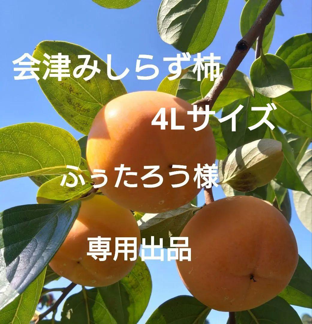 会津みしらず柿　会津身知らず柿　4Ｌサイズ　15個入り　2