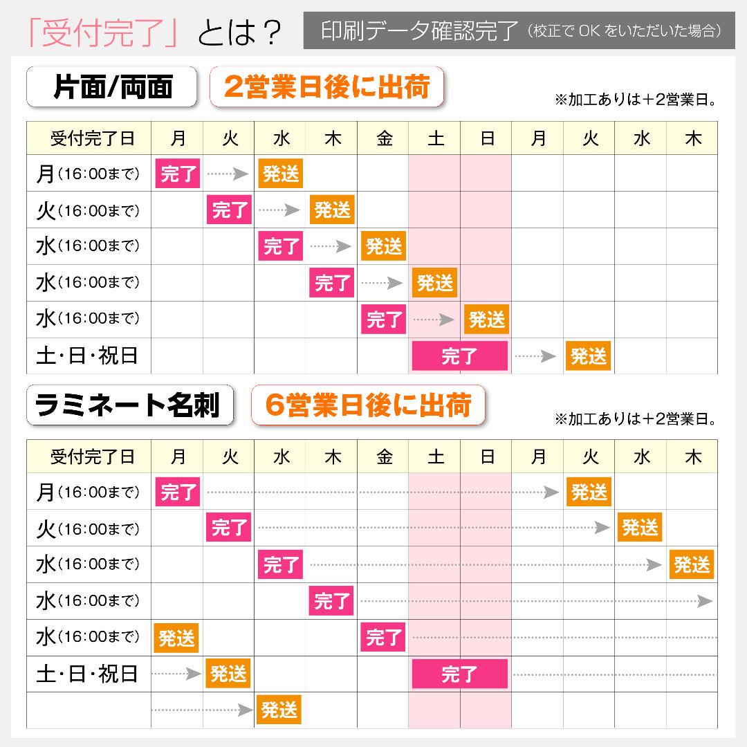 セミオーダー!プロのデザイナーが作る商業印刷の高品質名刺両面100枚/Y0070