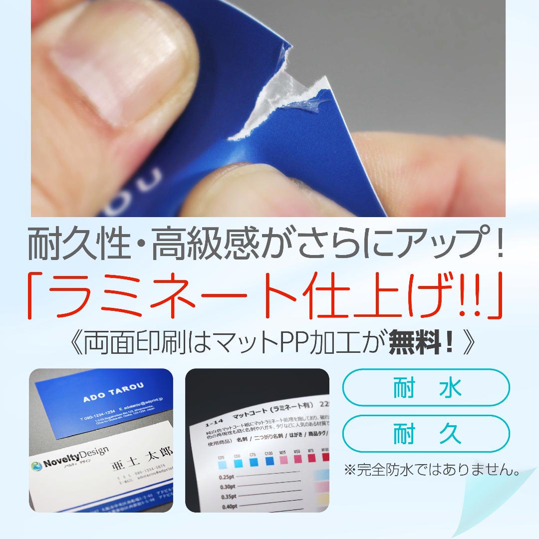 セミオーダー!プロのデザイナーが作る商業印刷の高品質名刺両面100枚/Y0070