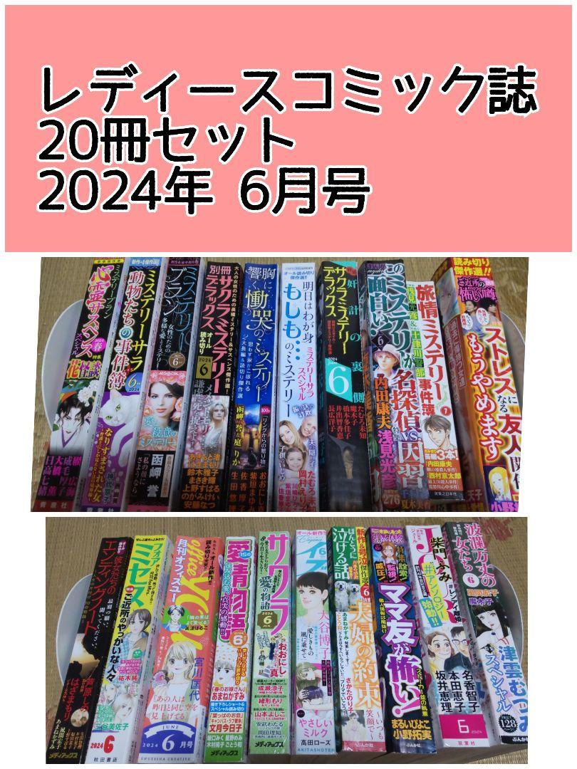 レディースコミック レディコミ 20冊 2024年 6月号 レディースコミック 女性漫画