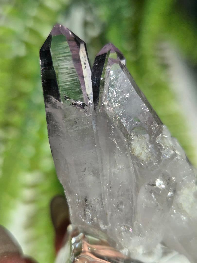 メキシコ産ベラクルスアメジスト