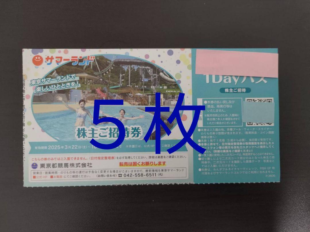 東京都競馬　東京サマーランド　1dayパス 5枚