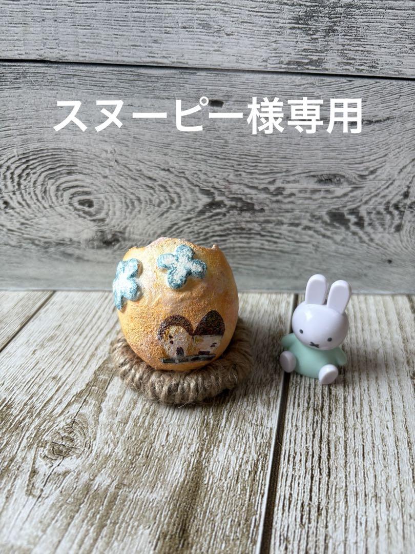 スヌーピー様専用です♡