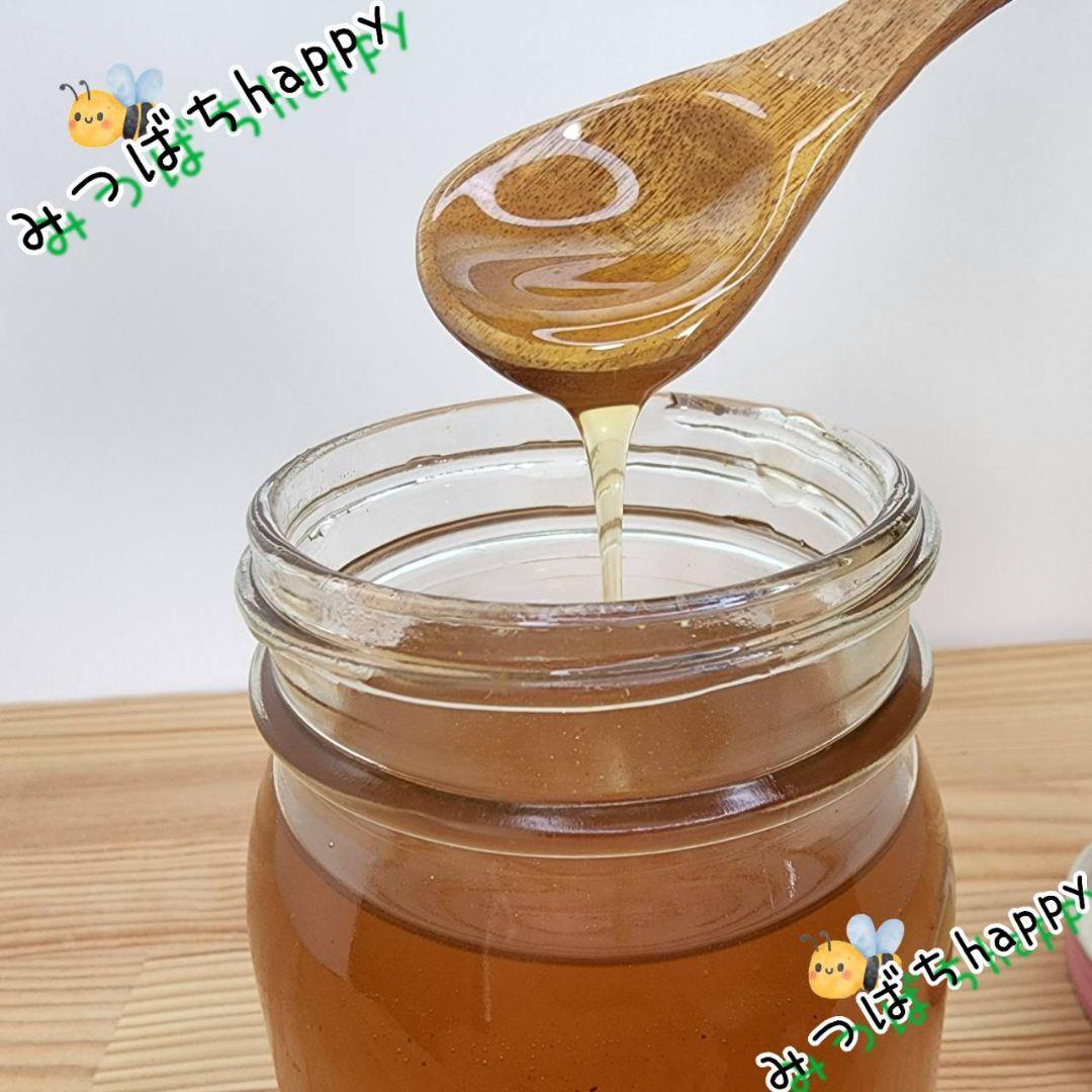 日本蜜蜂　蜂蜜　ラスト1セット しぼり蜜　500g×２ 天然　生はちみつ　百科蜜 日本蜜蜂 蜂蜜 ラスト1セット しぼり蜜 500g×2 天然 生はちみつ