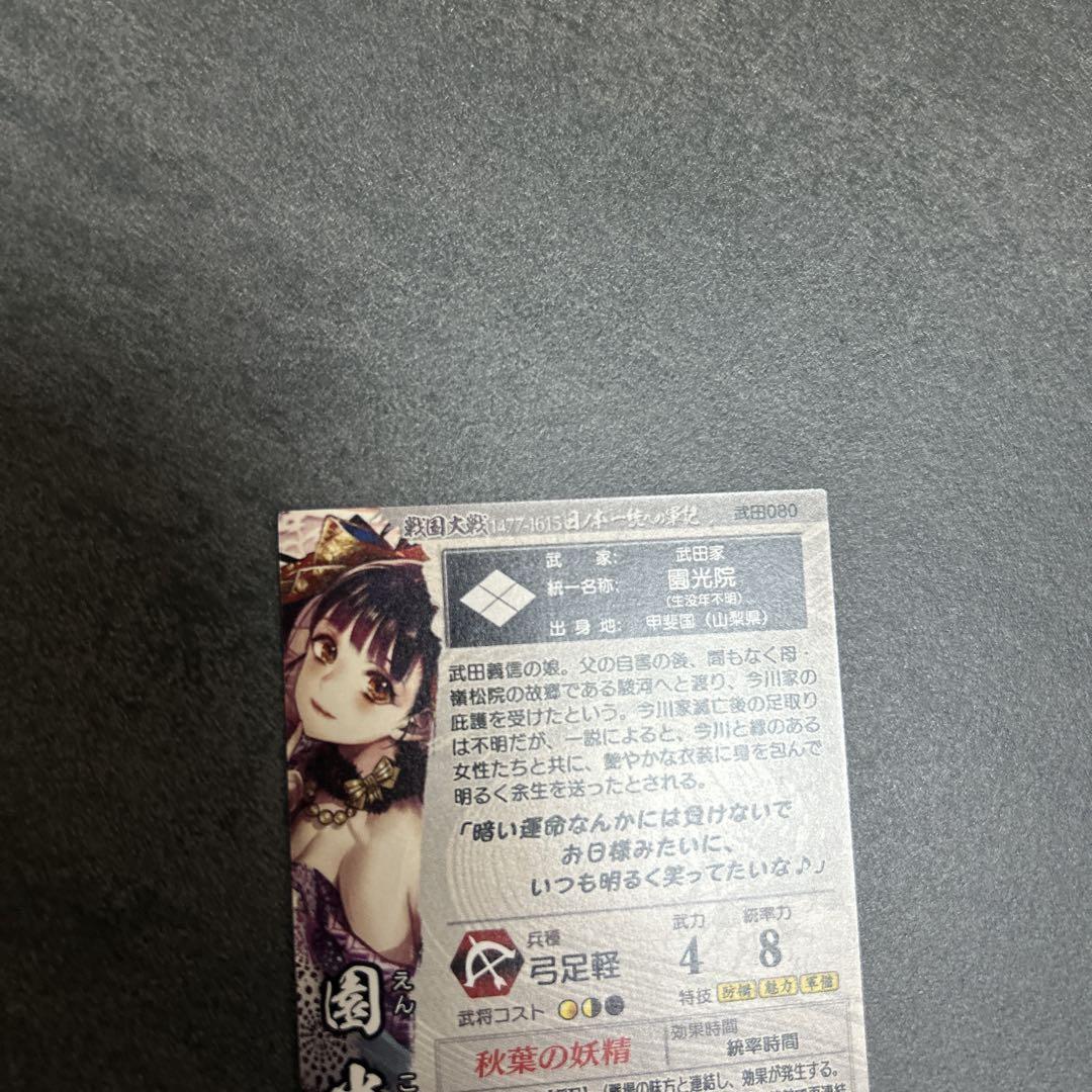 園光院　戦国大戦