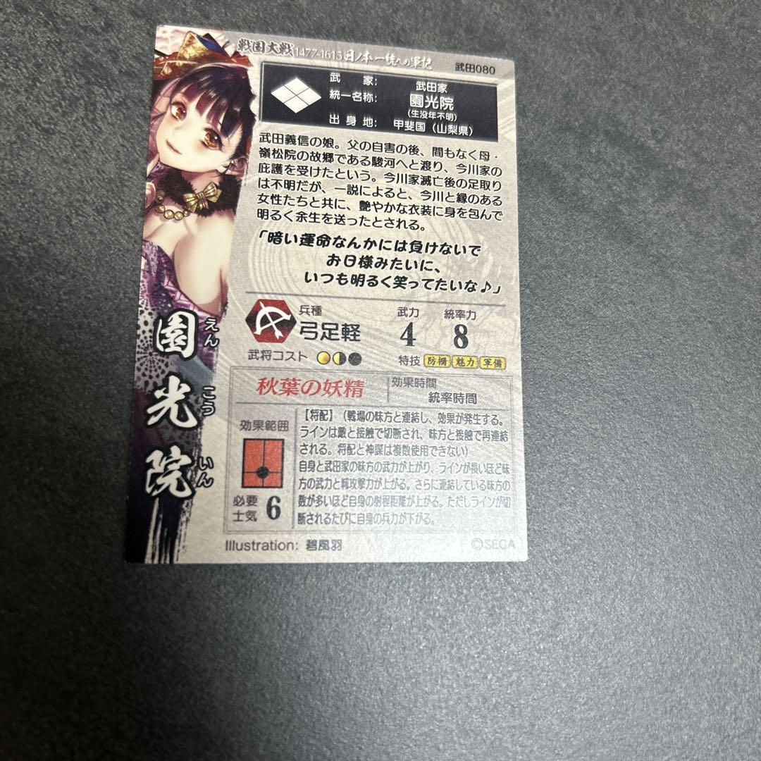 園光院　戦国大戦