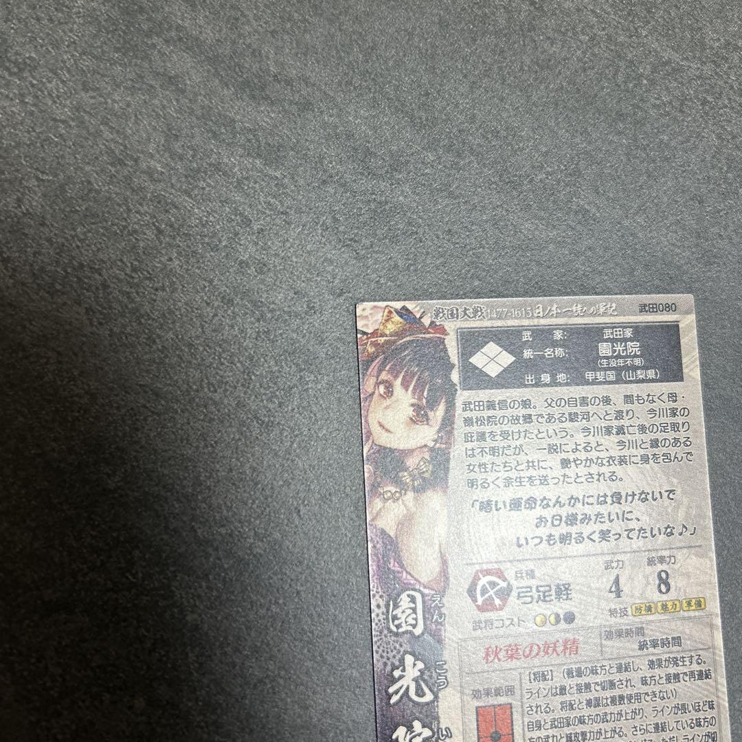 園光院　戦国大戦