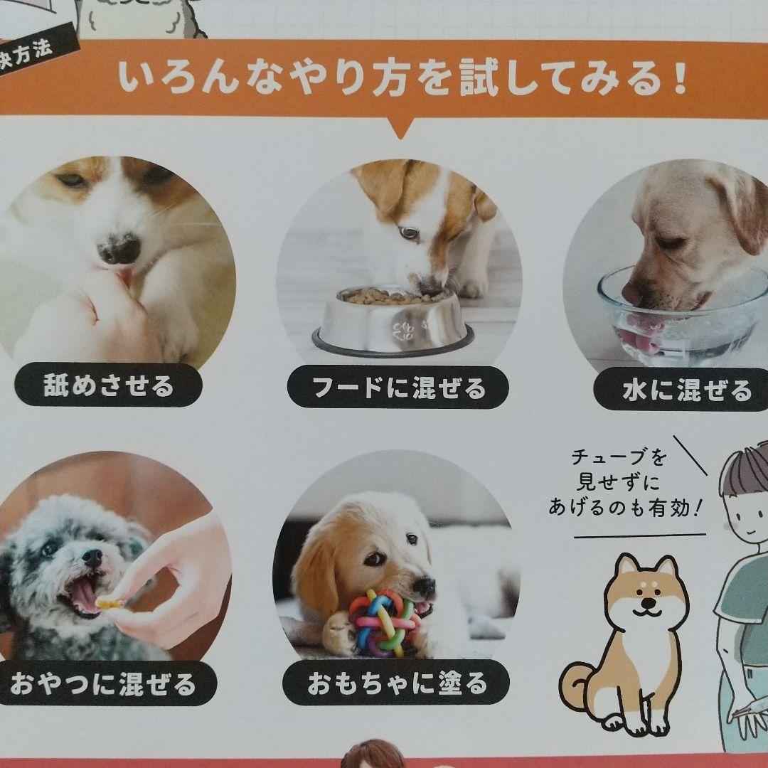 新品 ドクターデンタルワン ビーフ味 30g 4箱 - メルカリ