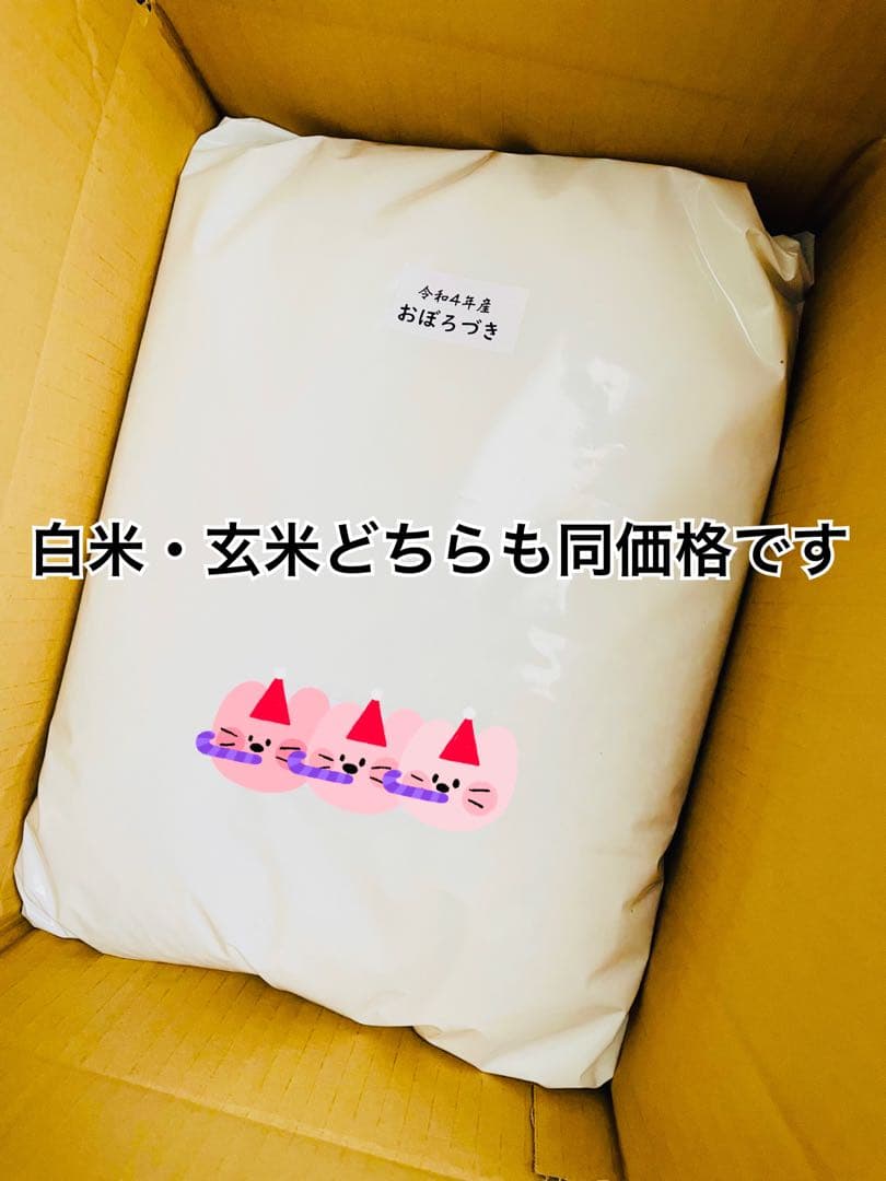 令和4年産 北海道米 おぼろづき 20キロ 一等米 農園直送
