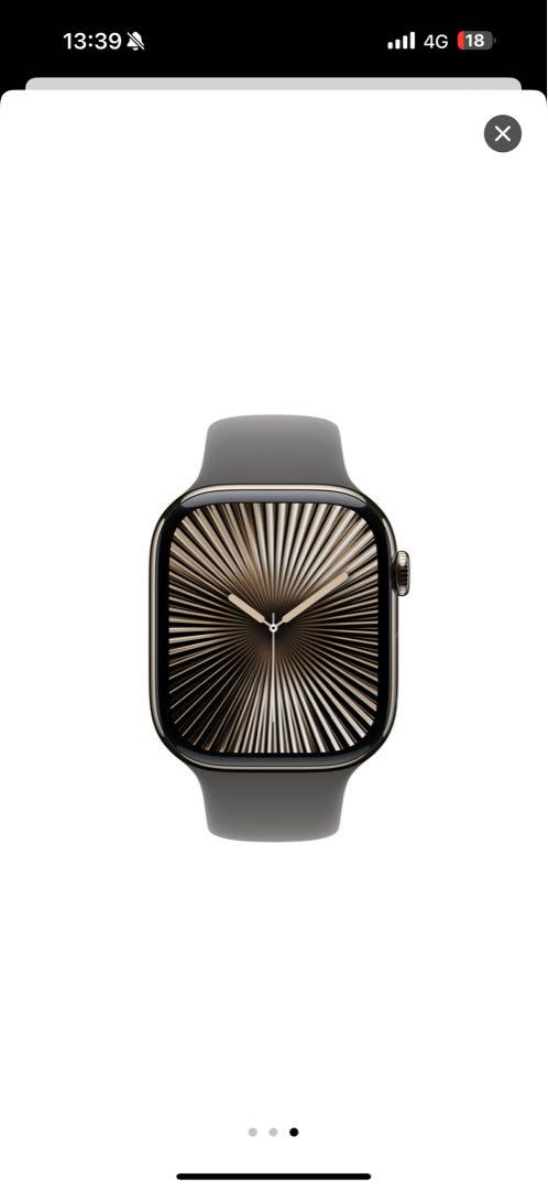 Apple Watch Series 10 グレー シリコンバンド 純正品