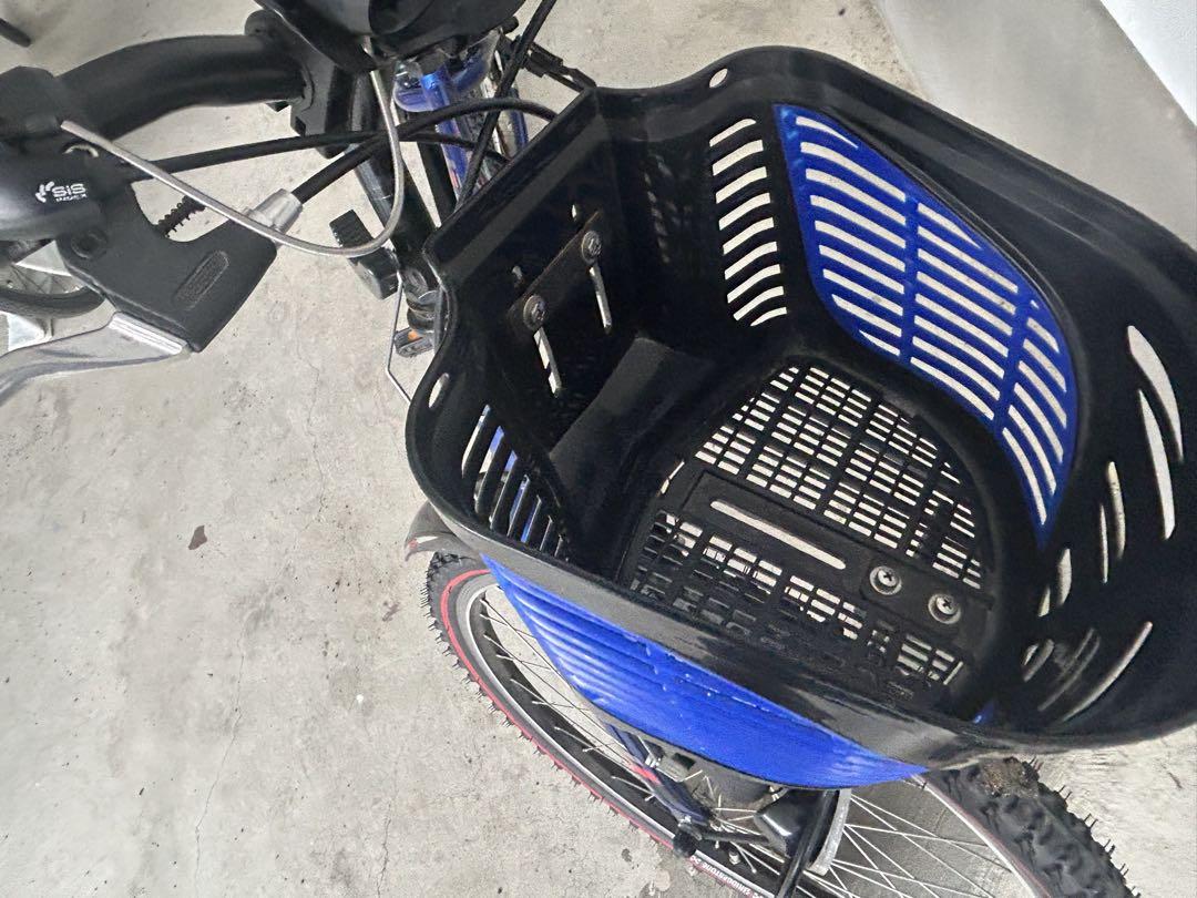 BRIDGESTONE ジュニアスポーツ自転車 24インチ エクスプレスジュニア