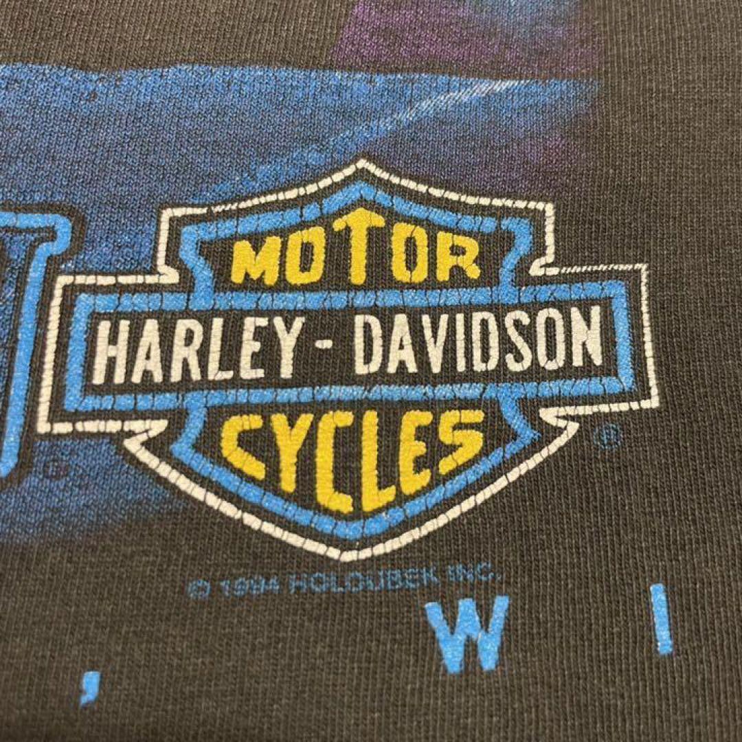 希少 KANYE着用 USA製 90's Harley Davidson ロンT | labiela.com