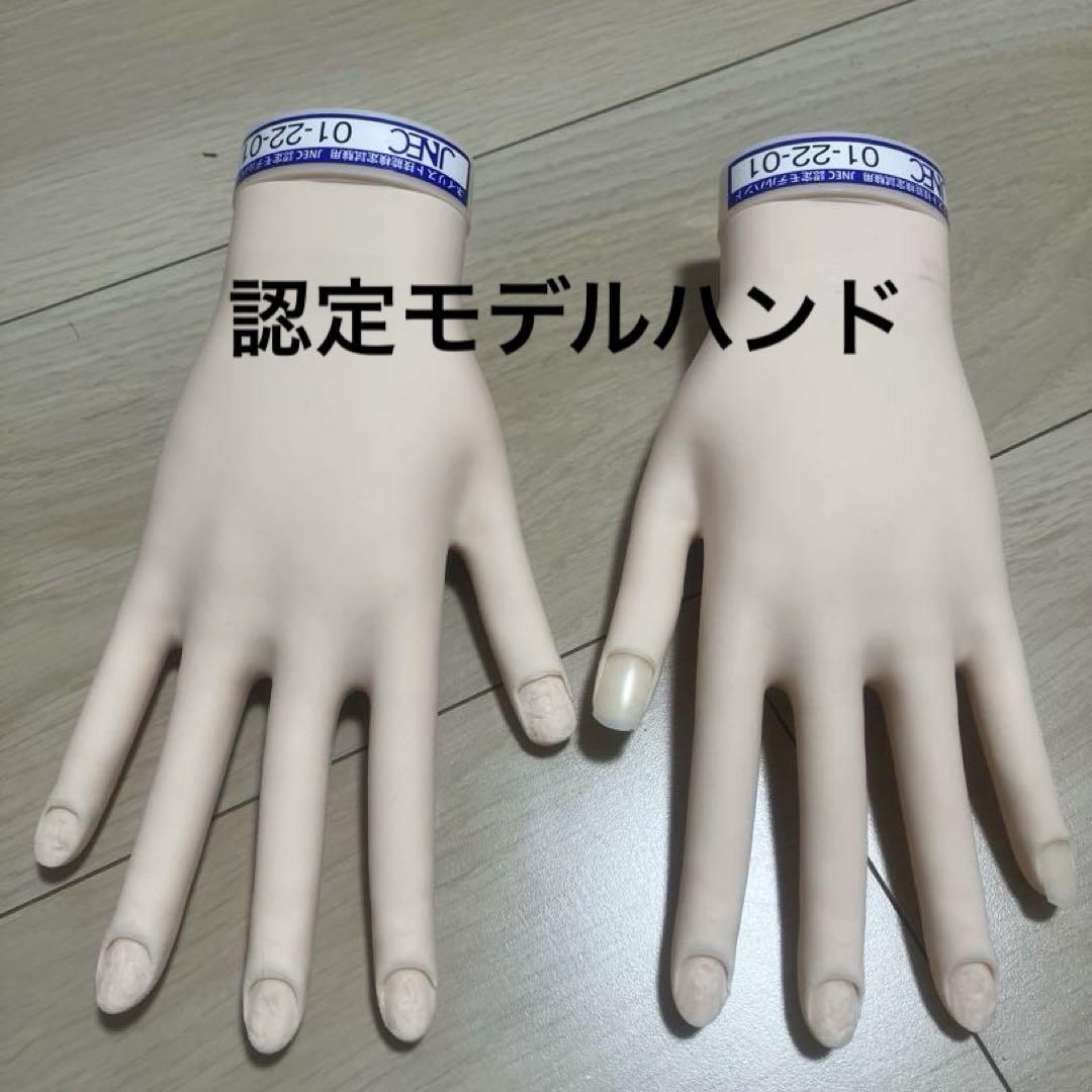 美品 認定モデルハンド ネイルハンド マネキン手 標準サイズ 肌色