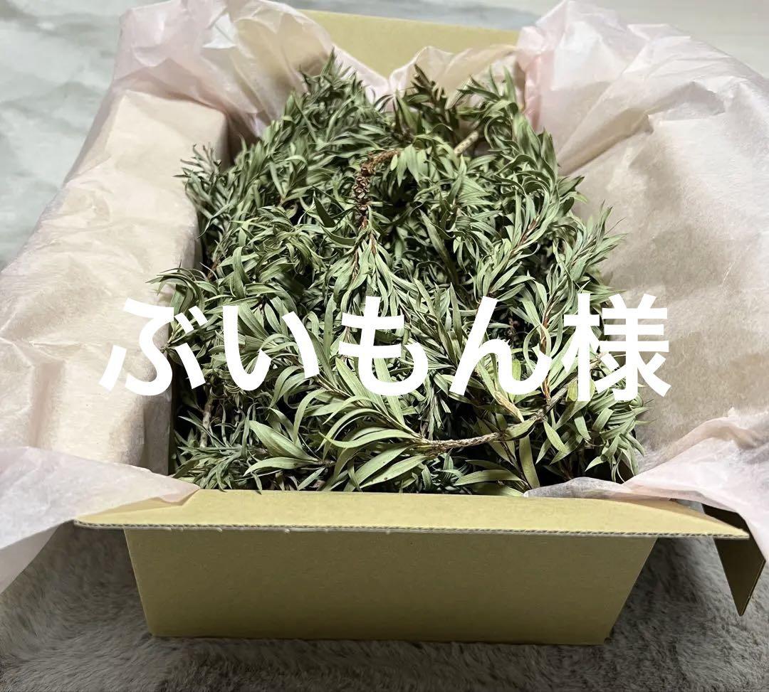 ぶいもん様 リクエスト 2点 まとめ商品