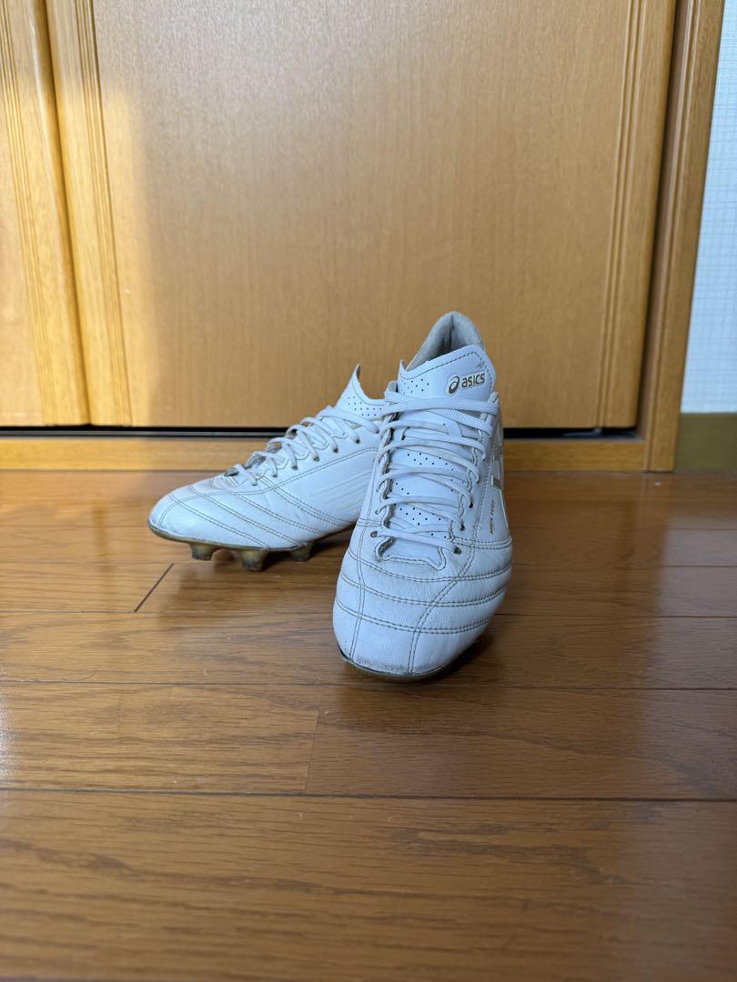 アシックスDSライトX-FLY4 24.5cmモレリア アルファジャパン f50