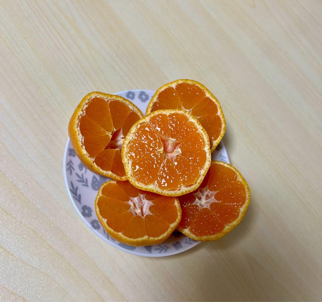 不知火and三ヶ日青島みかん