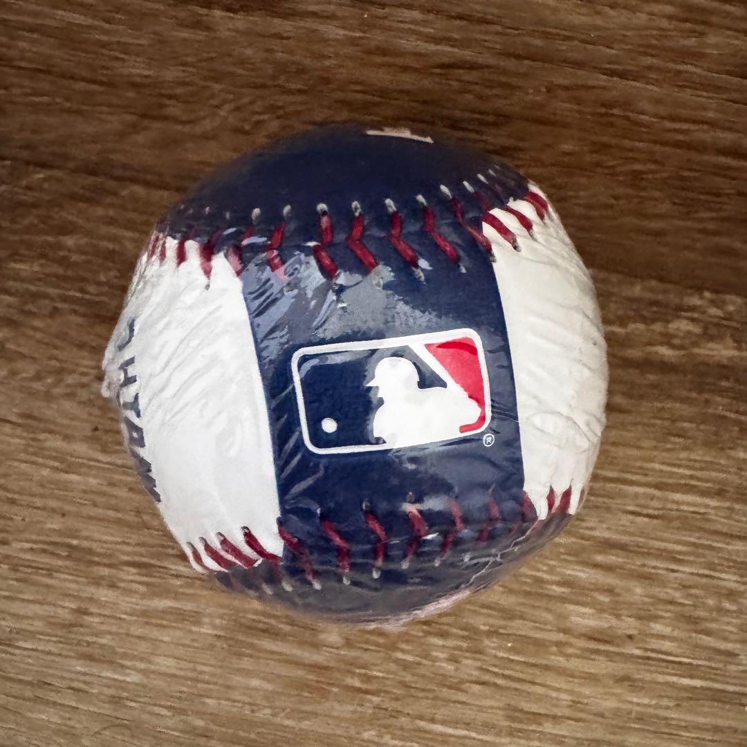ロサンゼルス ドジャース 大谷翔平 ボール スタジアム購入