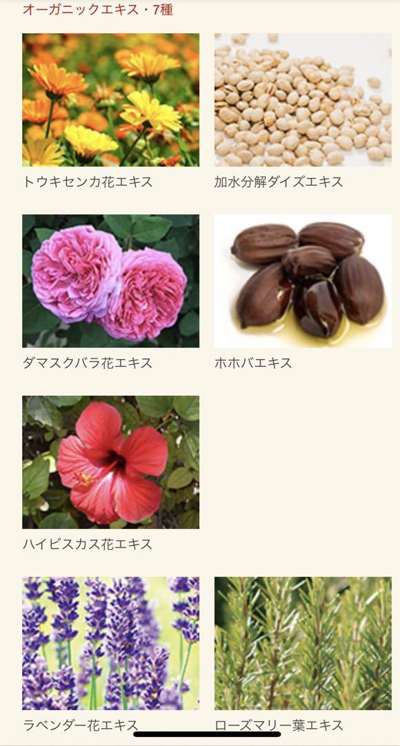 OYASUMIスカルプシャンプー 3個セット