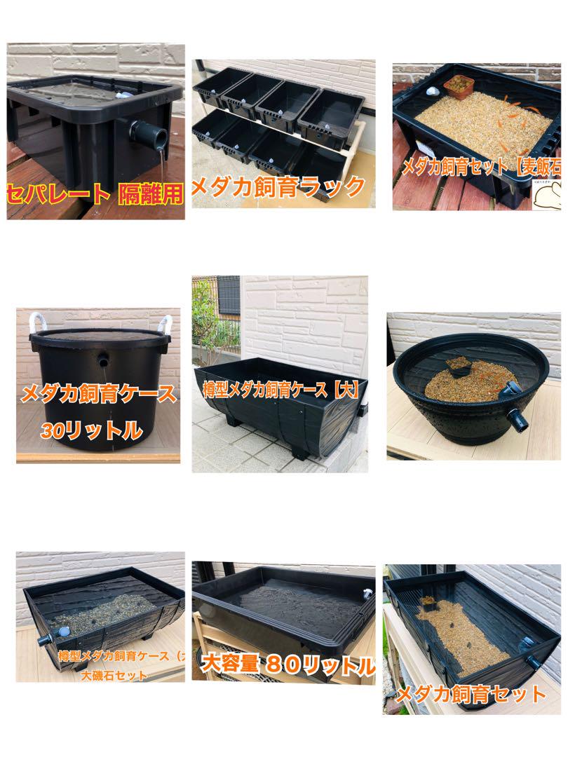 樽型メダカ飼育ケース【大】大磯石と赤玉土セット - メルカリ