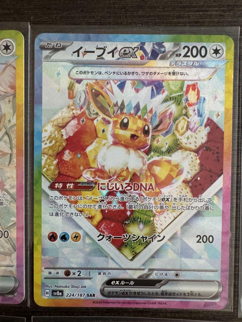 テラスタルフェス　ブイズまとめ売り