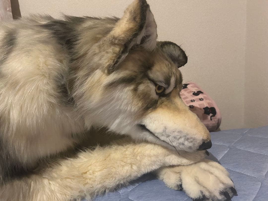 アートドール オオカミ ぬいぐるみ インテリア