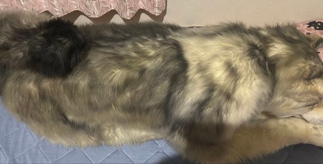 アートドール オオカミ ぬいぐるみ インテリア