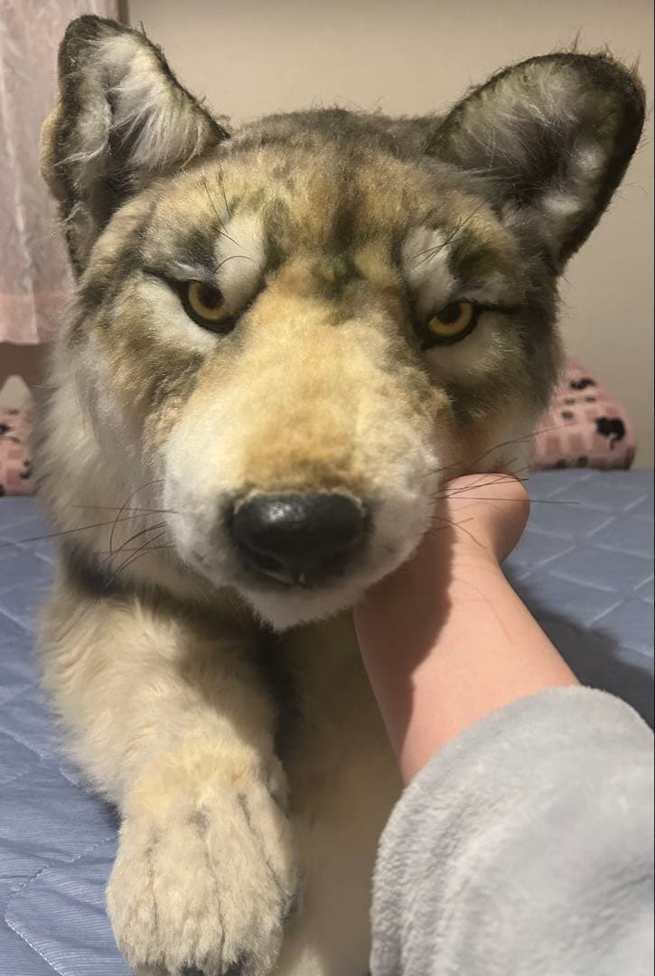 アートドール オオカミ ぬいぐるみ インテリア