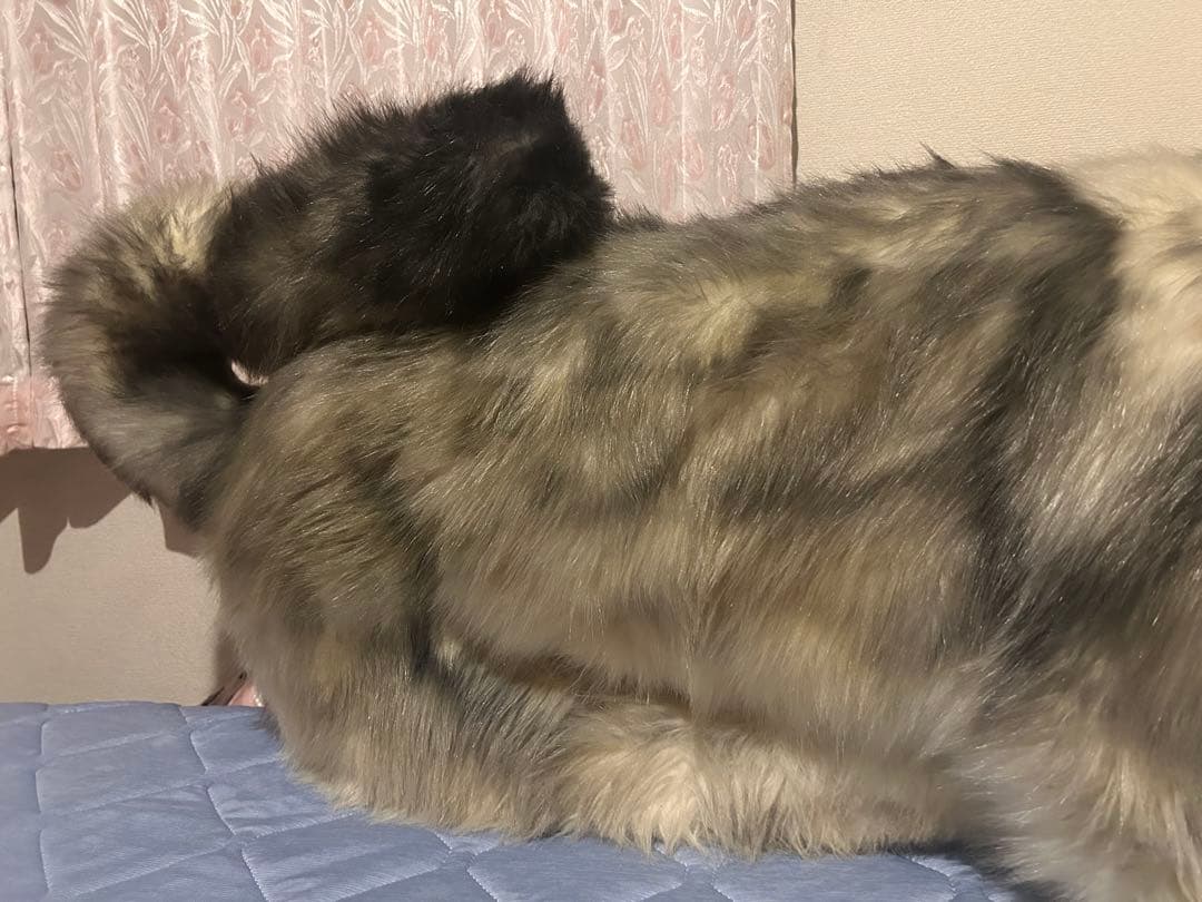 アートドール オオカミ ぬいぐるみ インテリア