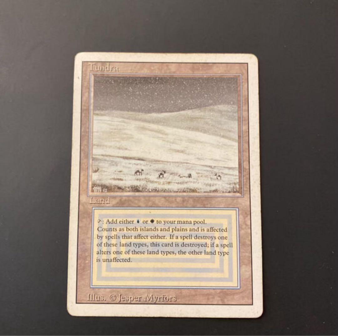 MTG《Tundra》[3ED]英語版 - メルカリ