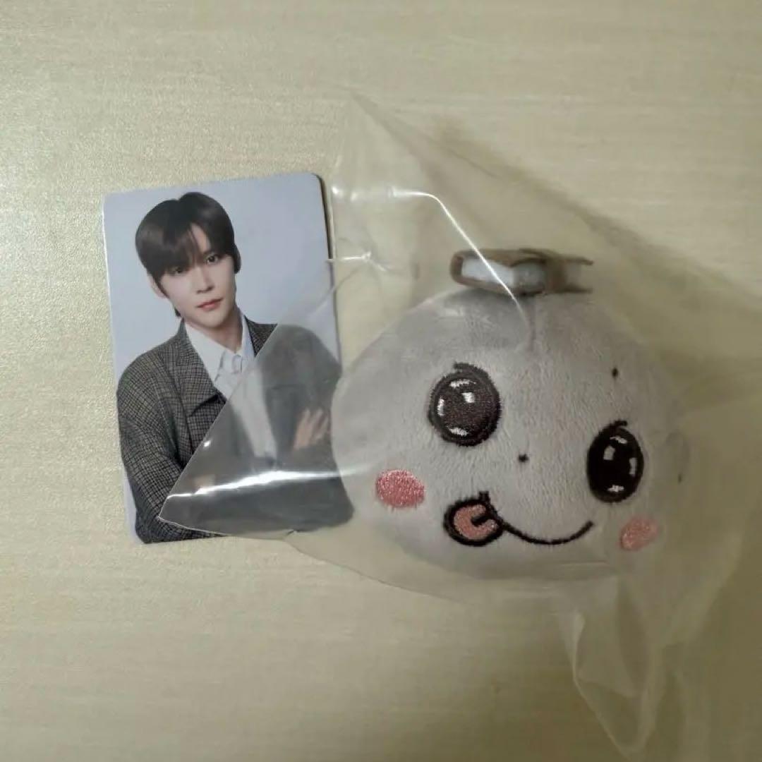 RIIZE ペンミ ぬいぐるみバッジ ウンソク ヨンドリ目立った傷や汚れなし