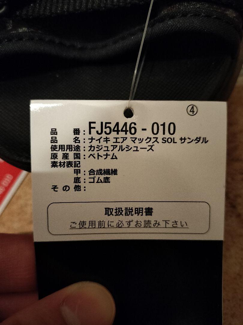 靴 NIKE AIR MAX SOL SANDAL