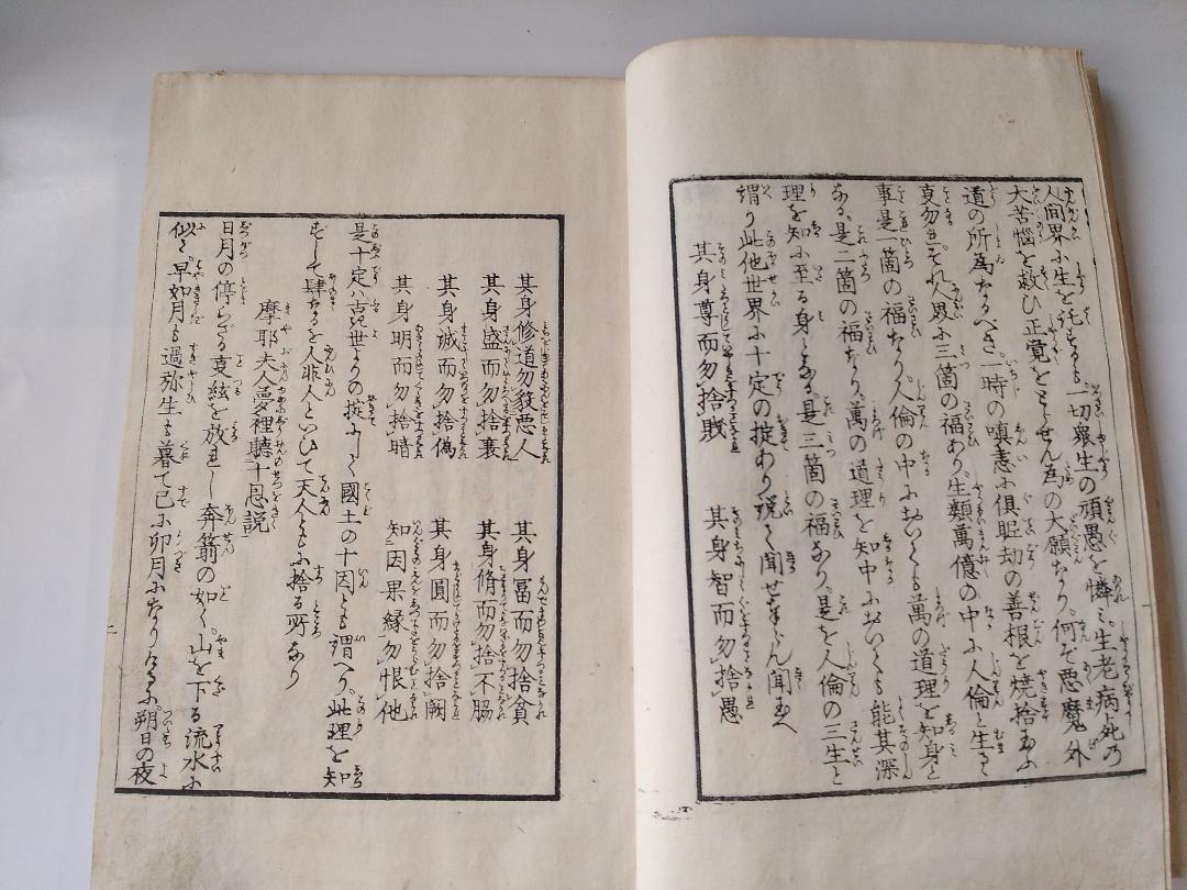 佛法起源 釋迦眞實録 上巻 下巻 東台寒松院大法師位孝泉 大嶋屋傳右衛門蔵版