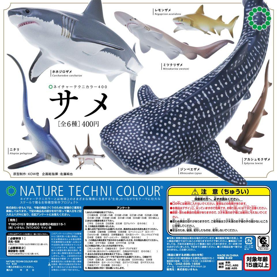 ネイチャーテクニカラー400 サメ ♢レモンザメ - メルカリ