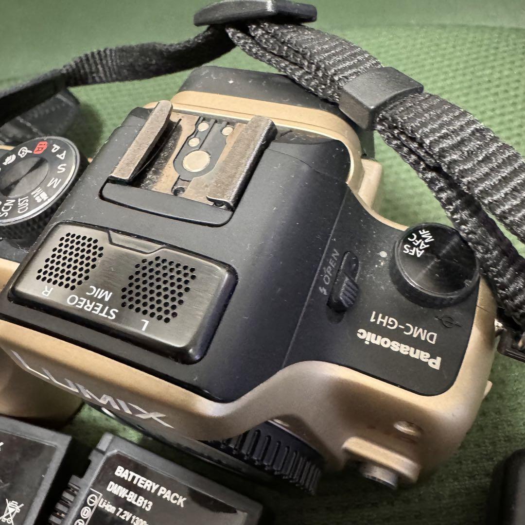 LUMIX GH1 ミラーレス一眼 デジタルカメラ