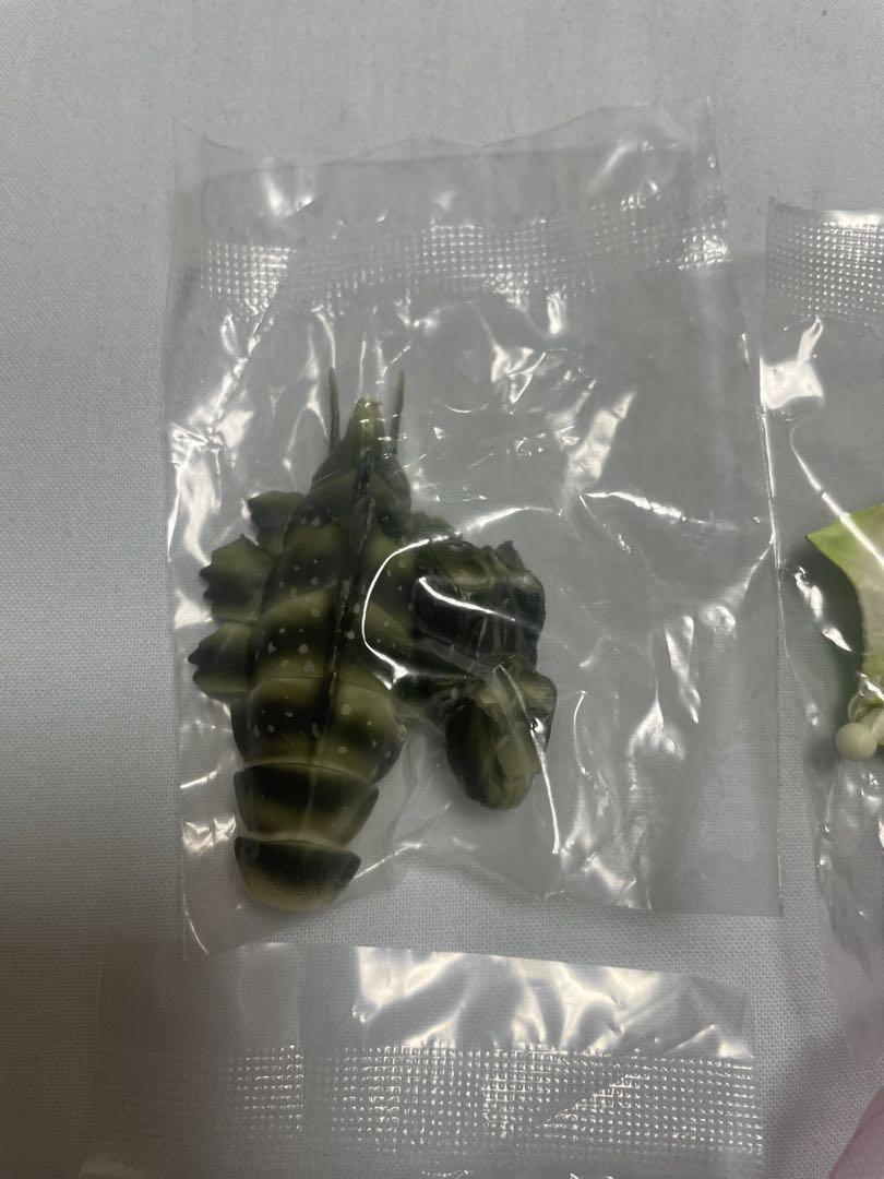 Y*K様 未開封　いきもの大図鑑　ニセハナマオウカマキリ　メス