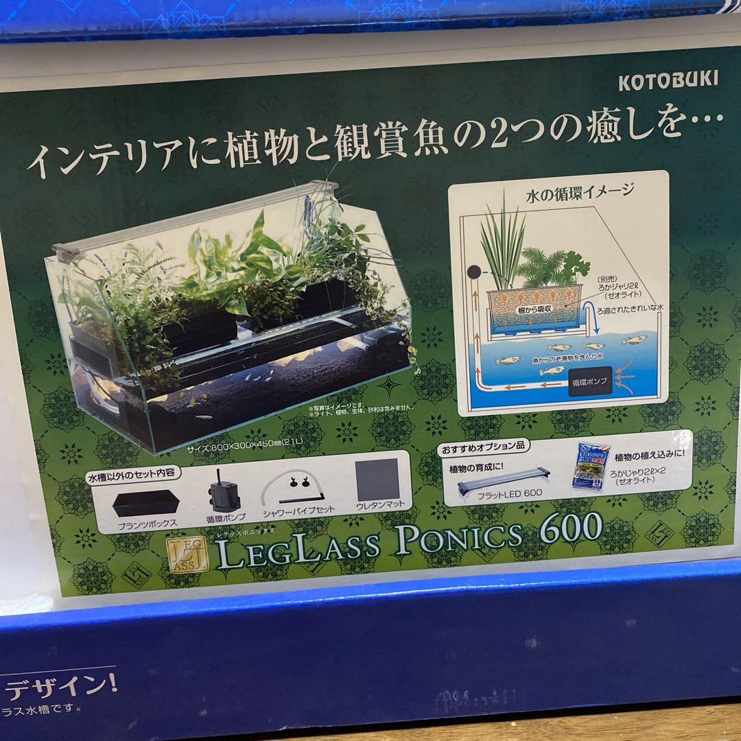 引取限定　　ガラス水槽