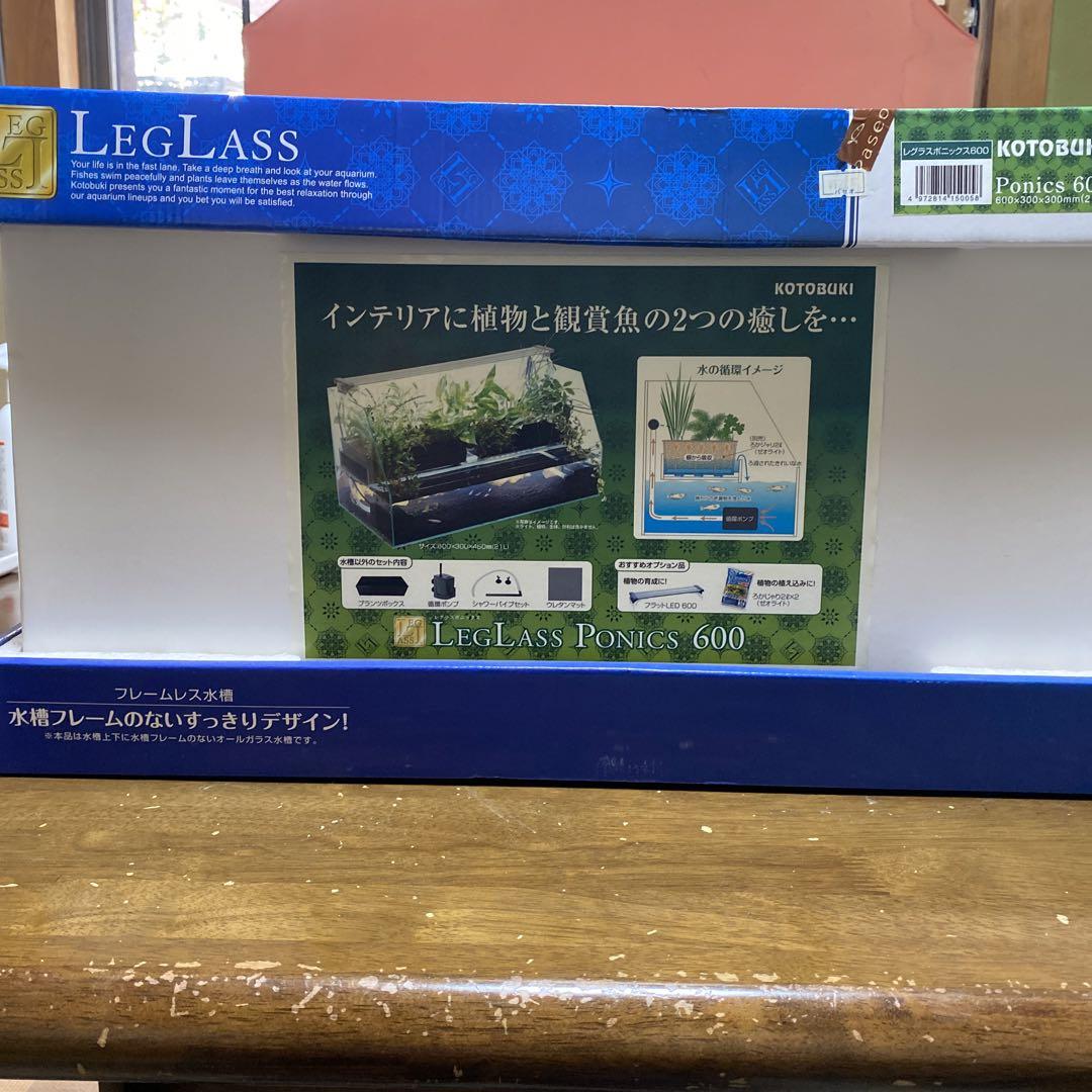 引取限定　　ガラス水槽