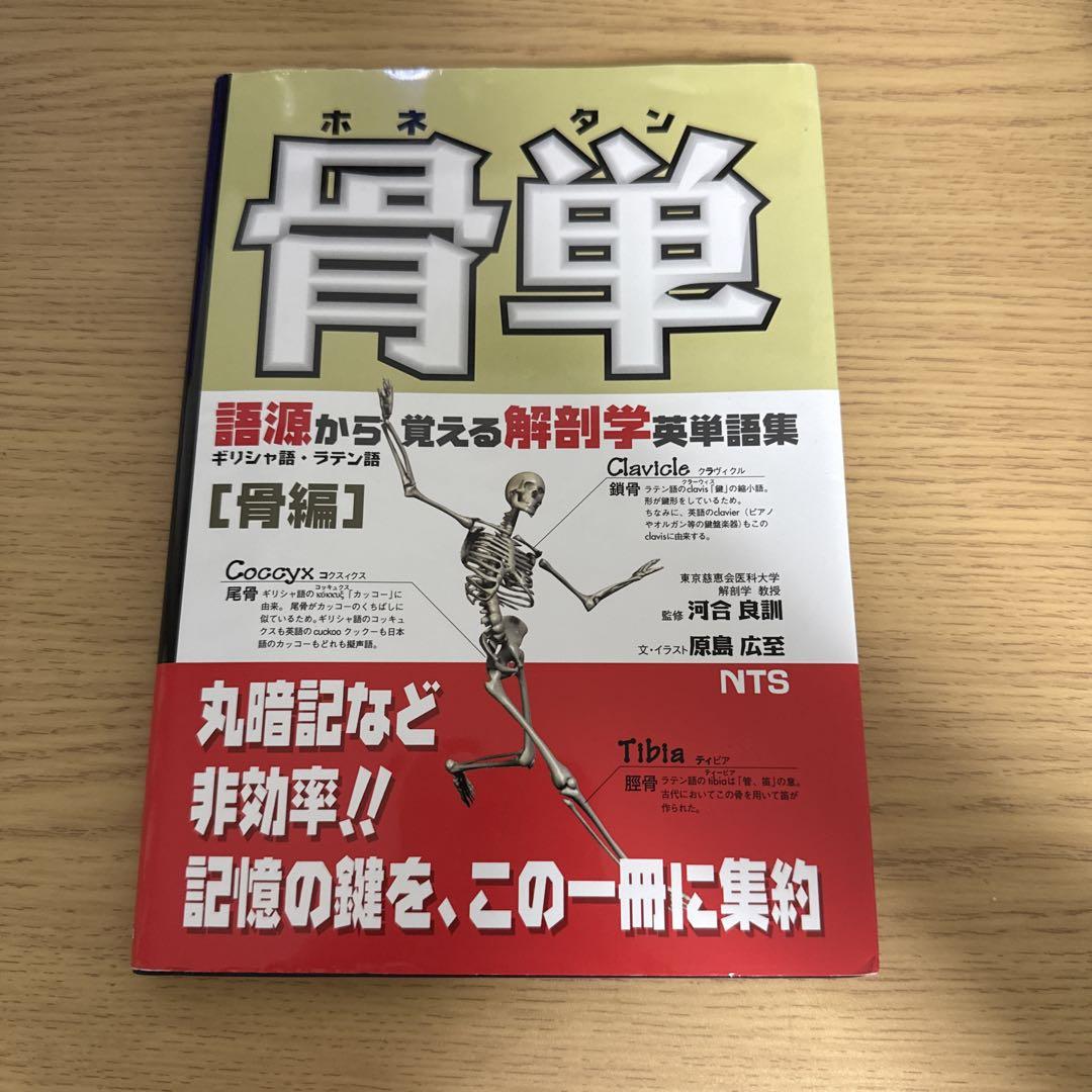 解剖学 骨単・肉単・脳単　×3セット